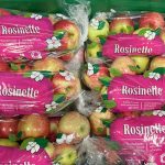 rosinette_05